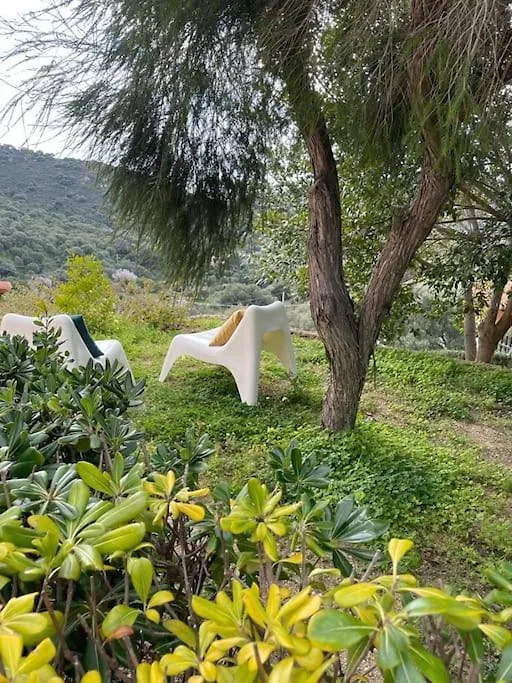 Holiday home Vill'E Tina Villa Torre delle Stelle