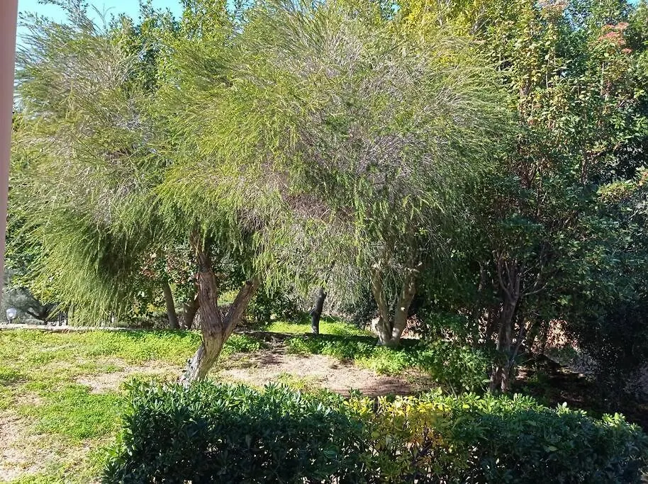 Holiday home Vill'E Tina Villa Torre delle Stelle Italy