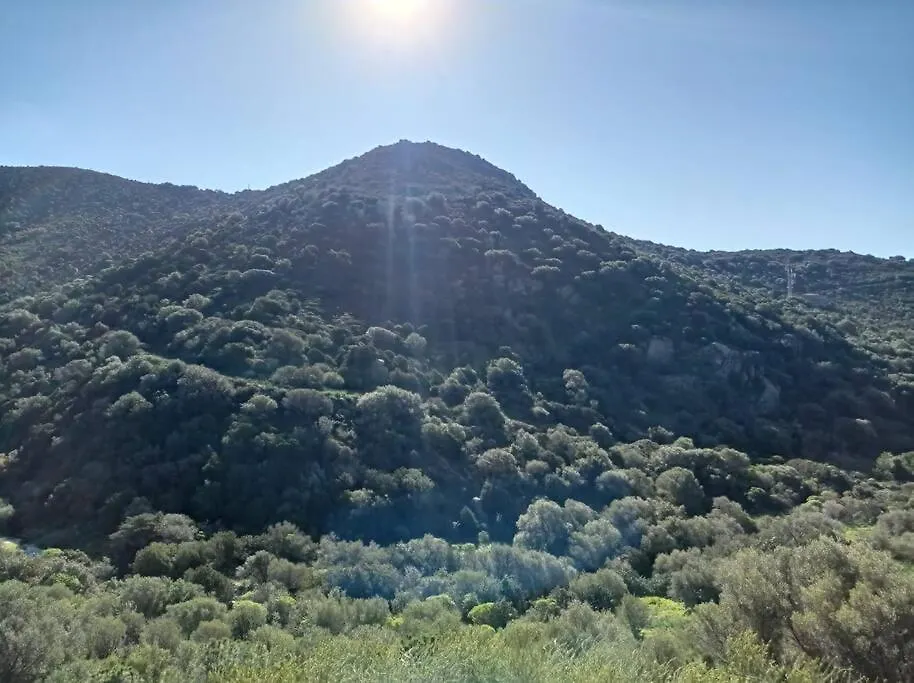 Vila Vill'E Tina Torre delle Stelle Itálie